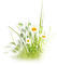 soave deco spring flowers grass daisy yellow green