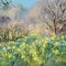 Daffodils Background - PNG gratuit GIF animé