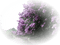 fleur violette.Cheyenne63 - gratis png animerad GIF