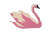 swan sticker - png gratuito GIF animata