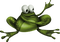 Kaz_Creations Frog Frogs - PNG gratuit GIF animé