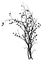 tree - δωρεάν png κινούμενο GIF