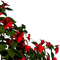 fleurs - besplatni png animirani GIF