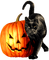 Cat.Jack.O.Lantern.Black.Orange - Free PNG Animated GIF