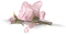 rosa - PNG gratuit GIF animé