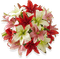 lilies Nitsa Papacon - Free PNG Animated GIF