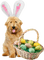 Kaz_Creations Dog Easter - zadarmo png animovaný GIF