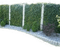 Gartenwand - bezmaksas png animēts GIF