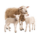 Schaap - Free PNG Animated GIF