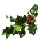 Chritsmas deco mistletoe sunshine3 - Free PNG Animated GIF