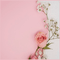 pink background by nataliplus - darmowe png animowany gif