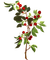 cherry tree brunch Bb2 - ilmainen png animoitu GIF