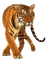 tiger - gratis png animeret GIF