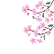 spring blossom - GIF เคลื่อนไหวฟรี GIF แบบเคลื่อนไหว