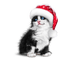 Gato con gorro de  santa claus - PNG gratuit GIF animé