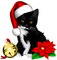 Christmas.Cat.Black.White.Red.Green - png gratis GIF animado