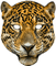 leopard bp - darmowe png animowany gif