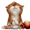 cat by nataliplus - png gratis GIF animado