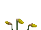 Yellow flowers - Animovaný GIF zadarmo animovaný GIF