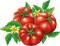fresh tomatoes Bb2 - bezmaksas png animēts GIF