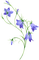 fleur bleu.Cheyenne63 - Free PNG Animated GIF
