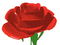 Rosa - Darmowy animowany GIF animowany gif