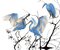 bird - 免费PNG 动画 GIF