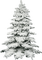 winter tree snow - bezmaksas png animēts GIF