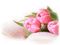 rosado - png gratuito GIF animata