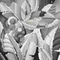 Y.A.M._Art background black-white - Gratis geanimeerde GIF geanimeerde GIF
