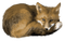 fox - zadarmo png animovaný GIF
