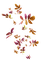 minou-deco-leaves-löv - ingyenes png animált GIF