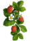 kikkapink spring flowers strawberries strawberry - безплатен png анимиран GIF