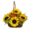Canasta de flores - Free PNG Animated GIF