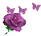 sparkle rose with butterflies - GIF เคลื่อนไหวฟรี GIF แบบเคลื่อนไหว