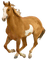 horse katrin - png gratis GIF animasi