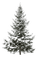 winter tree - png gratis GIF animasi