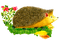 Hedgehog - Hérisson - darmowe png animowany gif