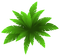 Kaz_Creations Deco Leaves Plant - ilmainen png animoitu GIF