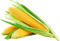 vegetables bp - darmowe png animowany gif