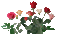 flowers - Ücretsiz animasyonlu GIF animasyonlu GIF