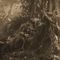 Y.A.M._Fantasy forest background sepia - Darmowy animowany GIF animowany gif