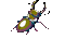 scarab - 無料のアニメーション GIF アニメーションGIF