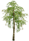 Дерево - png gratuito GIF animata