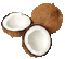 coconut - Бесплатный анимированный гифка анимированный гифка
