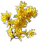 nbl-flower - PNG gratuit GIF animé