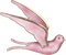 Kaz_Creations  Pink Deco Scrap Colours Bird Birds