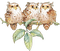 Owls - png gratuito GIF animata