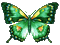 papillon - Ücretsiz animasyonlu GIF animasyonlu GIF
