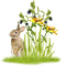 Kaz_Creations Flowers Deco Flower Colours Garden Deco - bezmaksas png animēts GIF